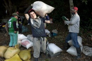 Venezuelan Migrants Providing Crucial Labor in South America - John Otis