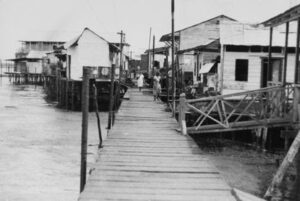 El siglo de María Pimentel - Ibsen Martínez