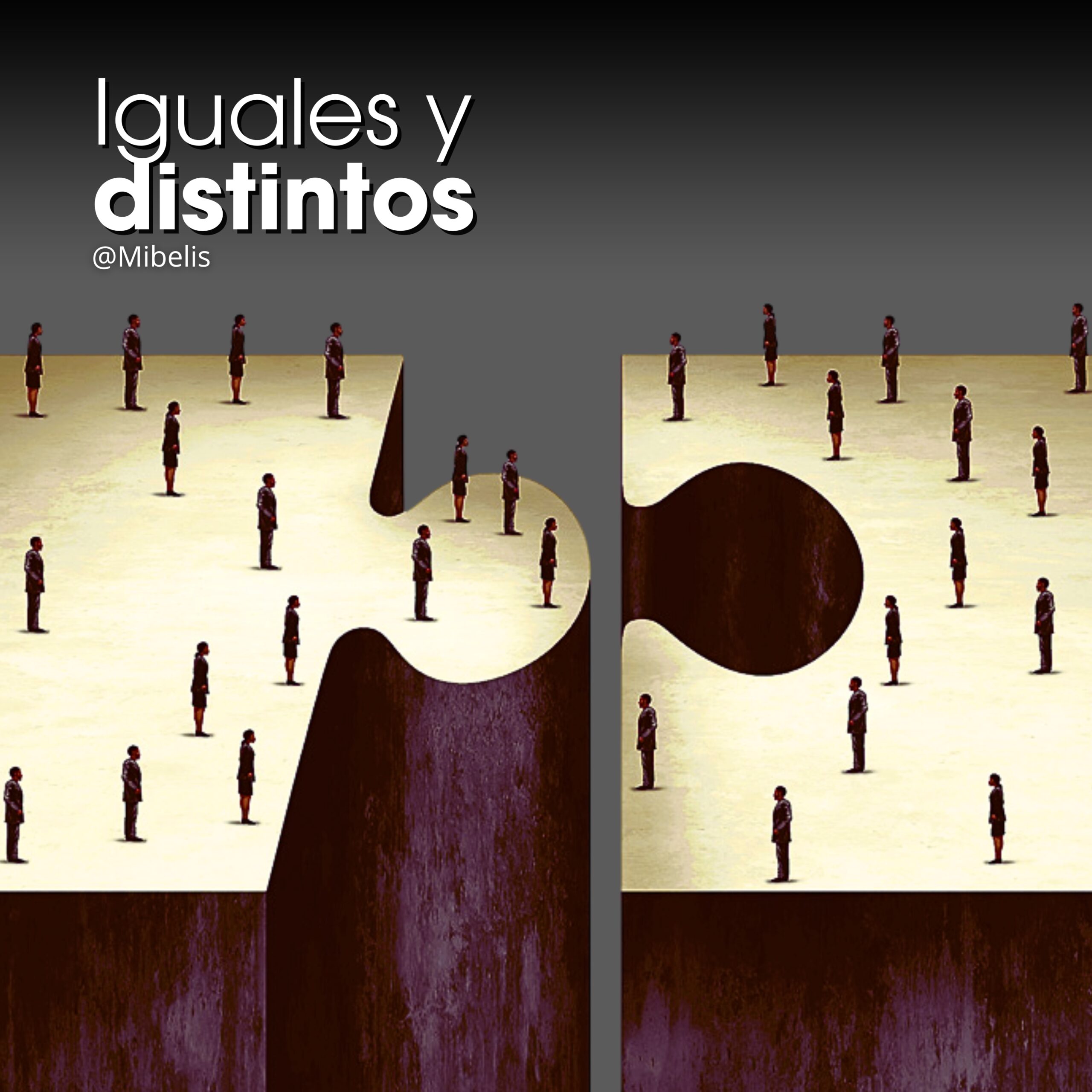 Iguales y distintos - Mibelis Acevedo Donís