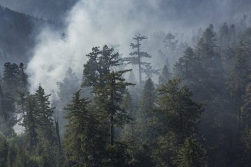 Umpqua NF Fires, 2017, Oregon